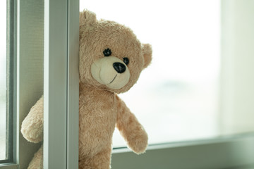 Teddy bear looking out of the window background for records
