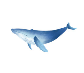 Obraz premium クジラ