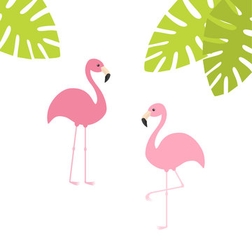 Two pink flamingo set. Exotic tropical bird. Zoo animal collection. Green palm leaves. Cute cartoon character. Decoration element. Flat design. White background. Isolated.