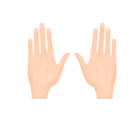 手の甲両手