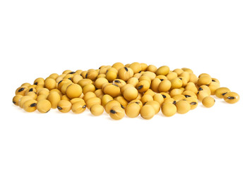 Soybean isolated on white background