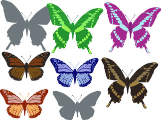 eight color butterflies isolated on white