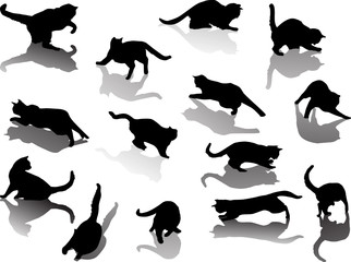 fourteen cat silhouettes with shadows on white