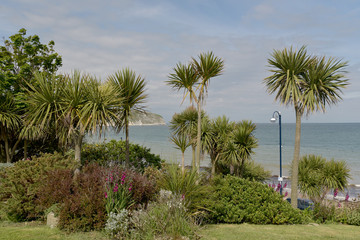 Fototapeta na wymiar Beach gardens at Swanage in Dorset