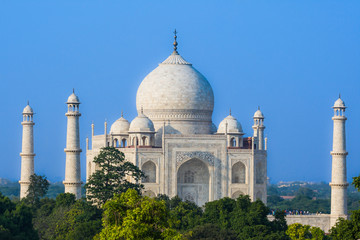 Fototapeta na wymiar The Taj Mahal as seen over the treeline from a distance.