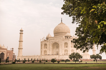 Fototapeta na wymiar The Taj Mahal in Agra, India
