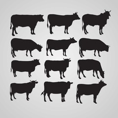 Silhouettes of cow