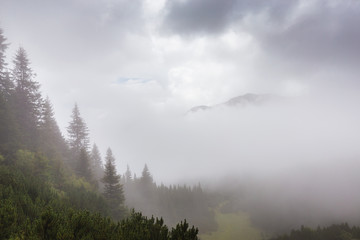 Mountain landscape in the Transylvanian Alps in summer, with mist clouds after the rain