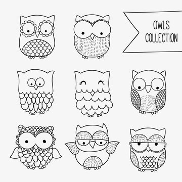 Sketchy owls collection