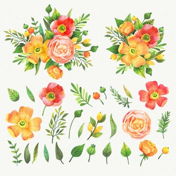 Watercolor collection of nice flowers