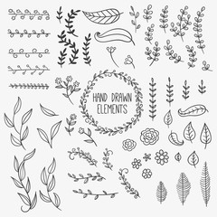 Hand drawn natural decoration elements