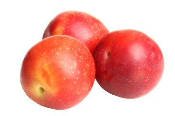 red plum isolated on white background
