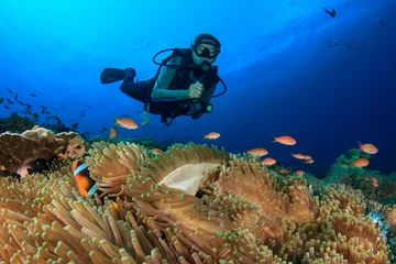 Rolgordijnen Scuba dive. Coral reef underwater and female scuba diver © Richard Carey