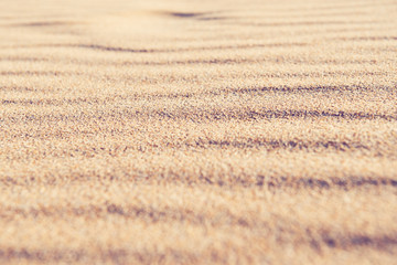 Sand Background