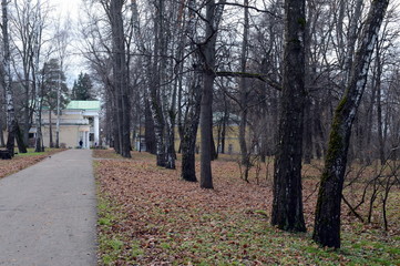 Fototapeta premium Autumn landscape in the Park of the Lenin hills