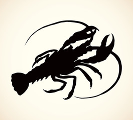 Crayfish. Vector drawing