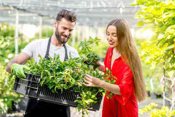 Handsome flower seller helping female buyer to choose a flower standing in the plant store. Customer service in the flower shop