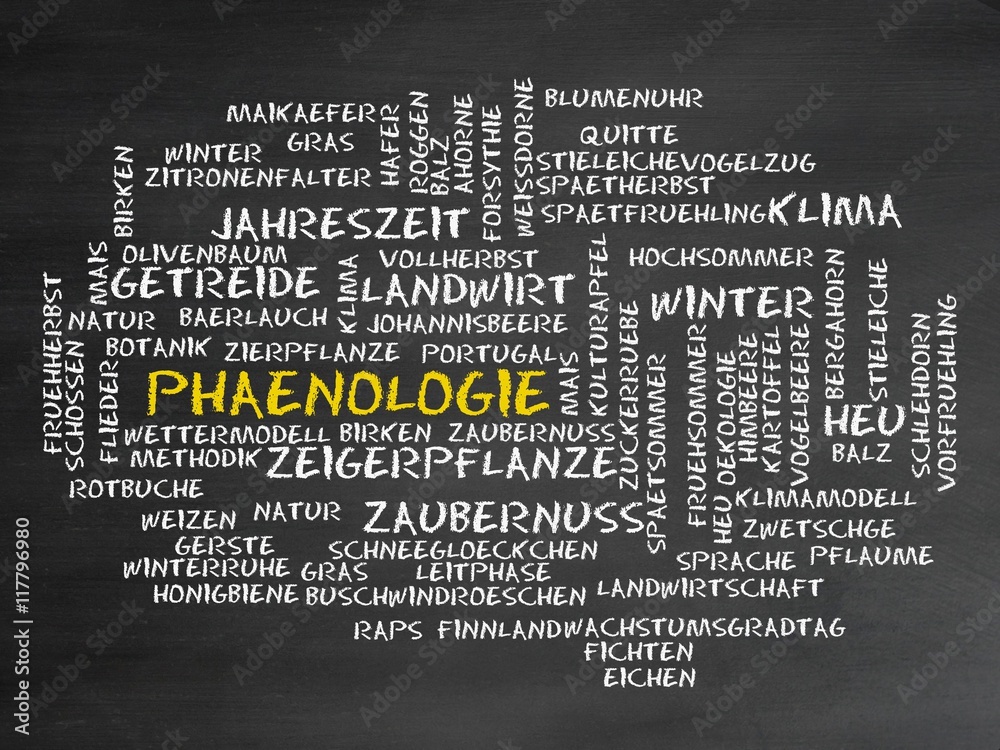 Poster phänologie