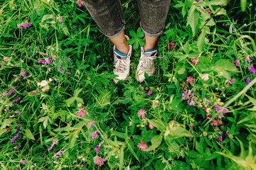 Fototapeta premium stylish hipster woman legs and sneakers in colorful grass and wi
