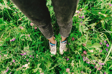 stylish hipster woman legs and sneakers in colorful grass and wi