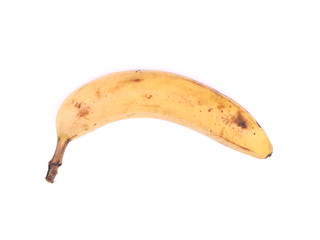 bananas on white background