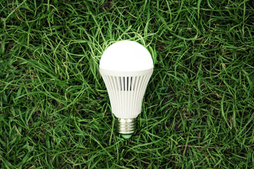 A turned on LED light bulb / Green energy concept / Using environmentally friendly appliances concept