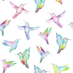 Seamless pattern of colored colibri, hand painted in a watercolor on a white background