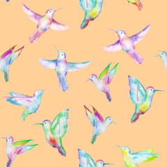 Seamless pattern of colored colibri, hand painted in a watercolor on a peach background
