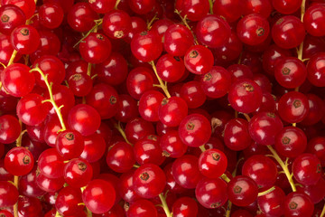 background filled with ed current