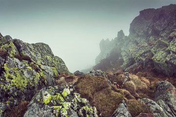 Obraz premium Mountains background