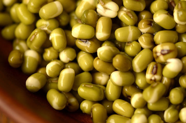 Mung bean