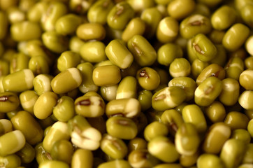 Mung bean