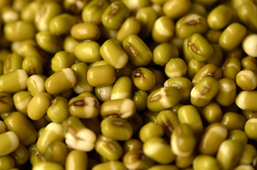 Mung bean