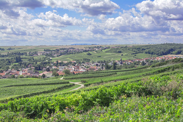 Fototapeta na wymiar der beliebte Weinort Jugenheim in der Weinregion Rheinhessen,Rheinland-Pfalz,Deutschland