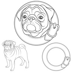 Vector set of pug images in the collar. Isolated objects.