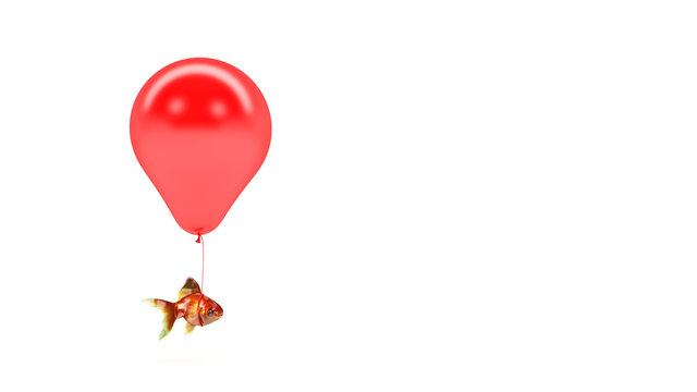 Gold fish flying away from a fishbowl with the help of a balloon. 3d rendering