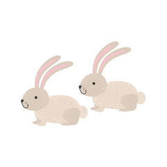 Fototapeta premium Two White Bunnies Sitting