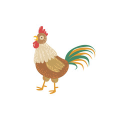 Rooster With Green Tail Standing