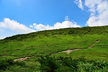 Obraz premium 夏の八方尾根