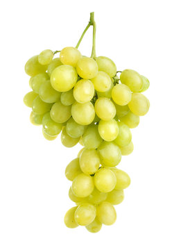 Green grapes isolated on white background