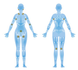 woman's body front / back and lymphatic massage diagram, Treatment of the swelling, vector illustration - obrazy, fototapety, plakaty