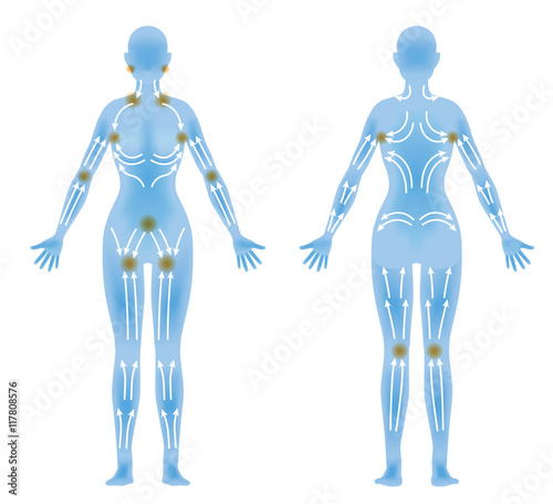 Woman S Body Front Back And Lymphatic Massage Diagram Treatment Of