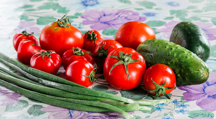 Vegetable composition for fresh salad: cucumbers, tomatoes and green onions on a tablecloth.