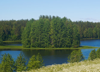 Fototapeta na wymiar Wooded island on a lake