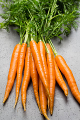 Fresh carrots on the gray backgrounds.