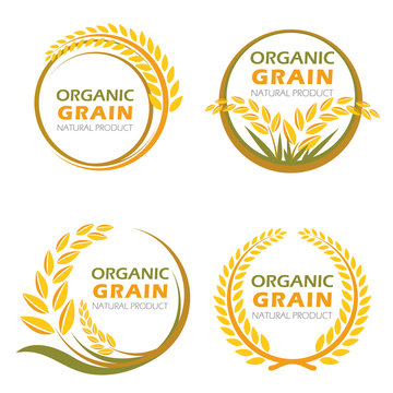 Circle paddy rice organic grain products and healthy food vector set design