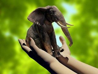 Elephant on the hands.