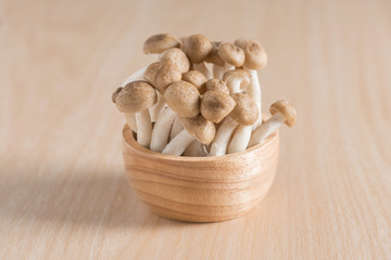 Fototapeta na wymiar Shimeji mushrooms brown varieties in wood cup.