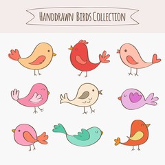 Hand drawn birds collection