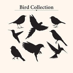 Bird silhouettes collection